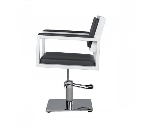 Комплект Дуглас (кресло + мойка)