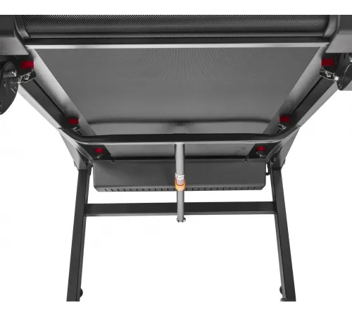 Беговая дорожка Titanium Masters Physiotech M270