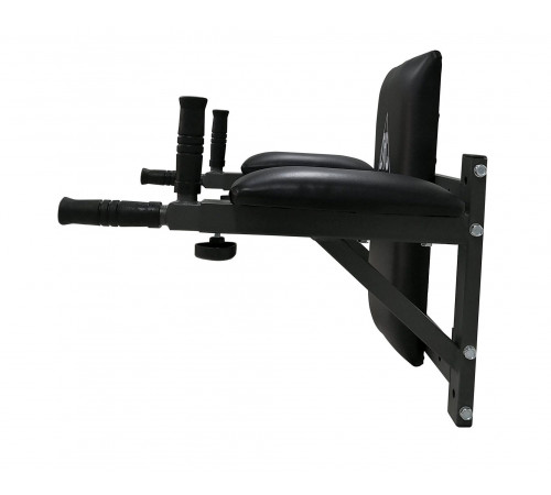 Брусья настенные DFC Homegym G294